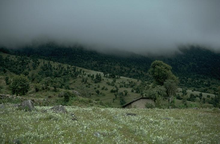 Meadow above Changma/Bandar